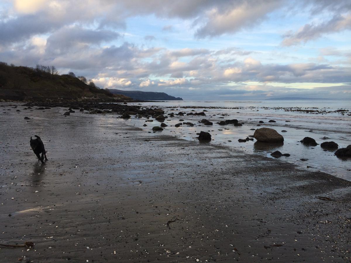 Josies Place At Waters Edge Self Catering Apartment Glenarm Екстериор снимка